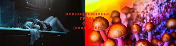 гидропоника Балахна